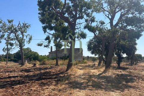 Ruinere i Carovigno, Brindisi, Carovigno - € 385.000 | Ref: Proprietà Pinea - foto 32